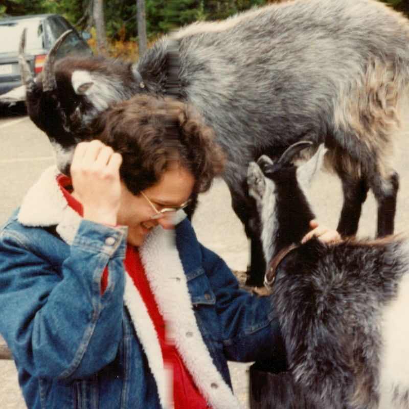36